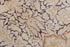 Vintage Agra Area Rug (10' x 13')
